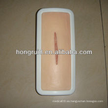 Modelo de sutura quirúrgica de piel viva ISO para la práctica de la sutura